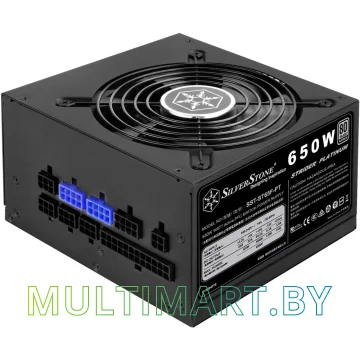 Блок питания SilverStone ST65F-PT v1.1 650W картинка 5